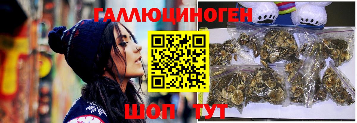 купить   Псилоцибиновые грибы Psilocybe  Вход с VPN  Курчатов 